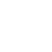 SWAROVSKI